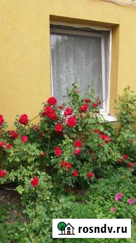 3-комнатная квартира, 61 м², 1/2 эт. на продажу в Зеленоградске Зеленоградск - изображение 1