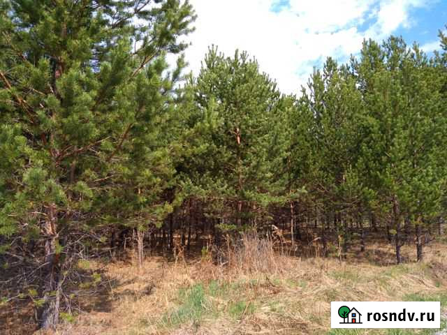 Участок СНТ, ДНП 10 сот. на продажу в Двуреченске Двуреченск - изображение 1