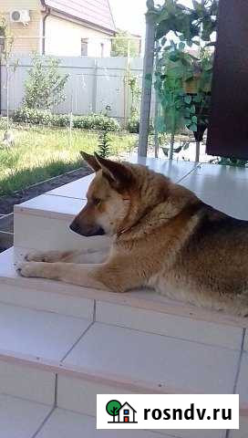 Дом 85 м² на участке 4 сот. на продажу в Началово Началово - изображение 1