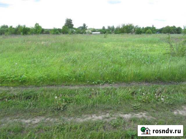 Участок ИЖС 15 сот. на продажу в Орлово Орлово - изображение 1