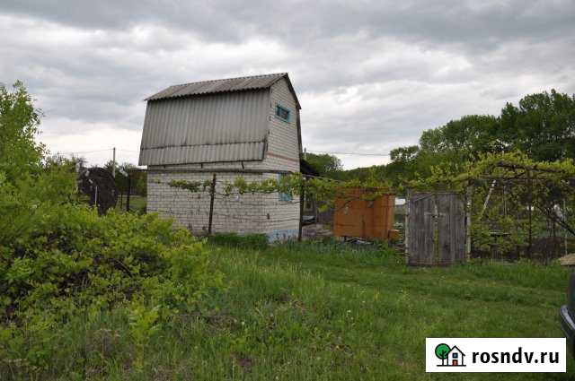 Дача 20 м² на участке 8 сот. на продажу в Строителе Белгородской области Строитель - изображение 1