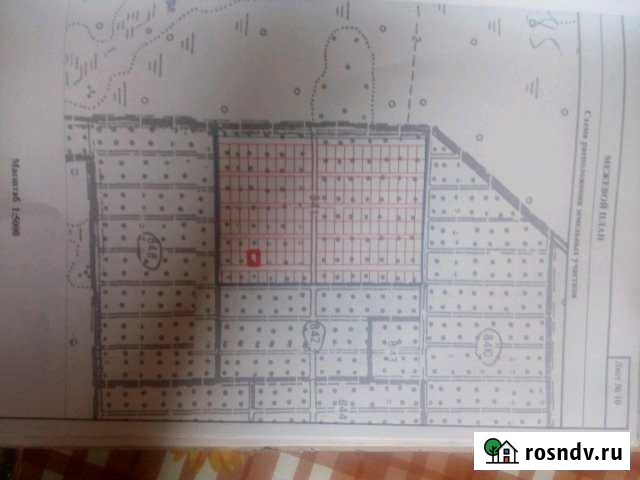 Участок СНТ, ДНП 6 сот. на продажу в Шлиссельбурге Шлиссельбург - изображение 1