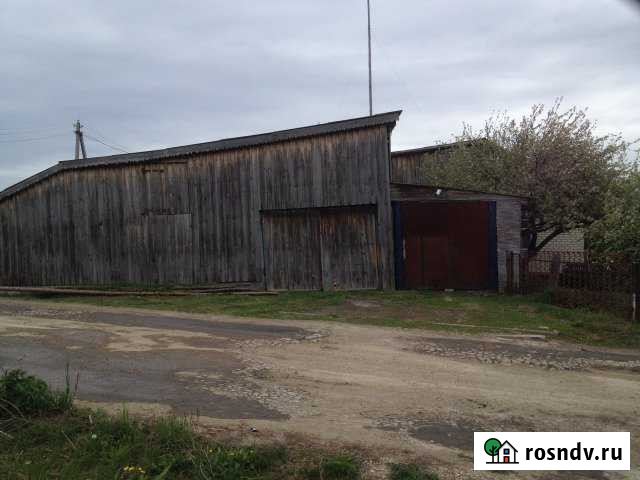 Дом 56 м² на участке 9 сот. на продажу в Языково Ульяновской области Языково - изображение 1