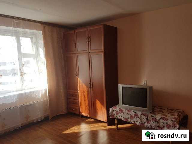 1-комнатная квартира, 39 м², 6/9 эт. в аренду на длительный срок в Лосино-Петровском Лосино-Петровский - изображение 1