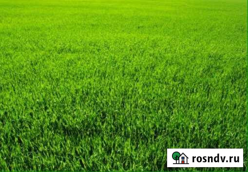 Участок ИЖС 12 сот. на продажу в Весёлом Веселое - изображение 1