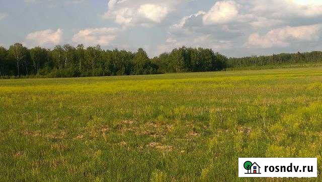 Участок СНТ, ДНП 200 сот. на продажу в Домне Домна - изображение 1