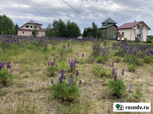 Дача 20 м² на участке 15 сот. на продажу в Петрозаводске Петрозаводск - изображение 1