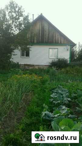 Дом 65 м² на участке 36 сот. на продажу в Чернушке Чернушка - изображение 1