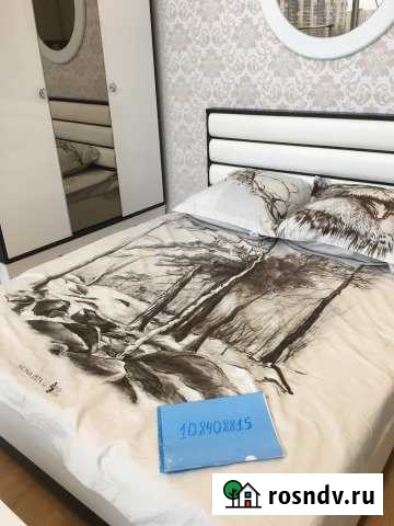 1-комнатная квартира, 41 м², 2/5 эт. в аренду посуточно в Санкт-Петербурге Санкт-Петербург - изображение 1