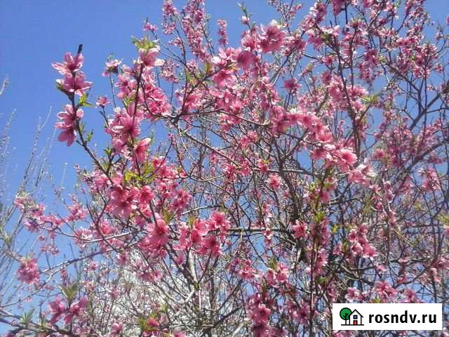 Дом 20 м² на участке 10 сот. на продажу в Адыгейске Адыгейск - изображение 1