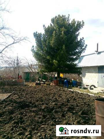 Дача 30 м² на участке 8 сот. на продажу в Миассе Миасс - изображение 1