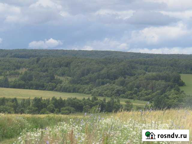 Участок СНТ, ДНП 1500 сот. на продажу в Алексине Алексин - изображение 1