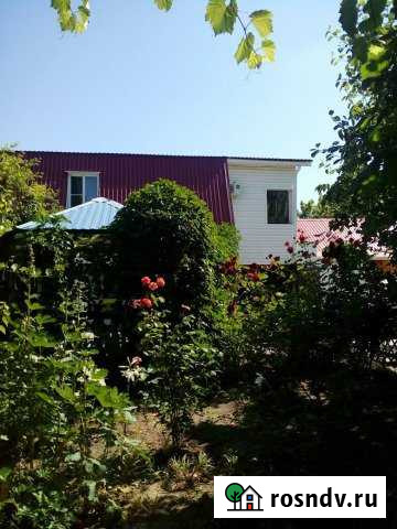 Дача 20 м² на участке 16 сот. в аренду посуточно в Камышеватской Камышеватская - изображение 1