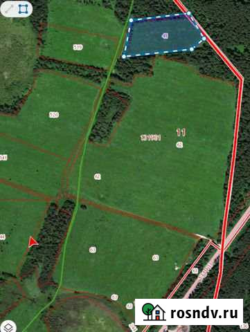 Участок СНТ, ДНП 200 сот. на продажу в Петровском Ярославской области Петровское - изображение 1