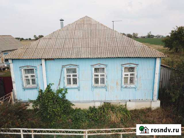 Дом 100 м² на участке 40 сот. на продажу в Репьевке Репьевка - изображение 1