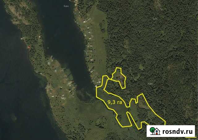 Участок СНТ, ДНП 925 сот. на продажу в Петрозаводске Петрозаводск - изображение 1