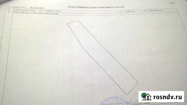 Участок СНТ, ДНП 200 сот. на продажу в Панковке Панковка - изображение 1