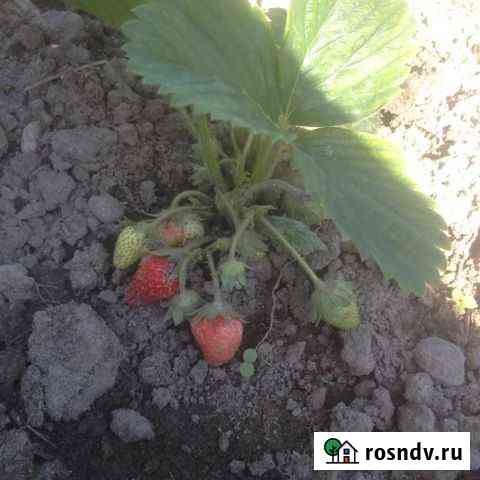 Участок ИЖС 15 сот. на продажу в Луковской Луковская