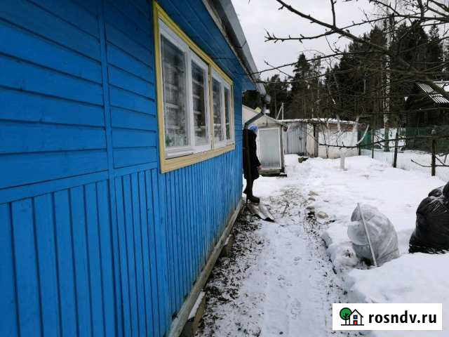 Дача 42 м² на участке 5 сот. на продажу в Большой Ижоре Большая Ижора - изображение 1