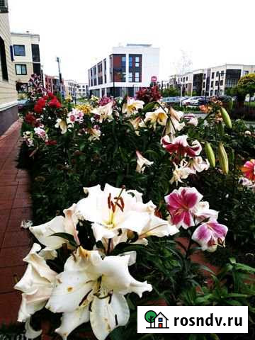 2-комнатная квартира, 52 м², 3/3 эт. в аренду на длительный срок в Ватутинках Ватутинки - изображение 1