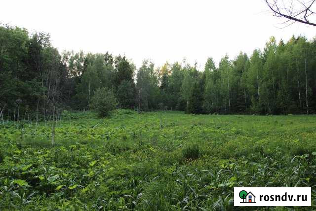 Участок СНТ, ДНП 12 сот. на продажу в Истре Истра - изображение 1