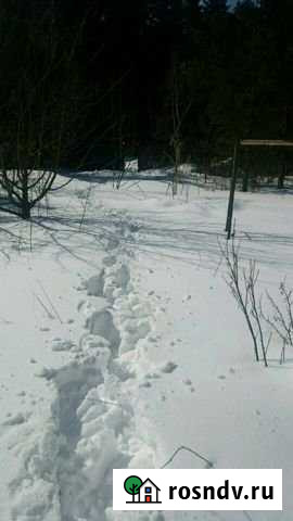 Участок СНТ, ДНП 20 сот. на продажу в Шишкине Лесе Шишкин Лес - изображение 1