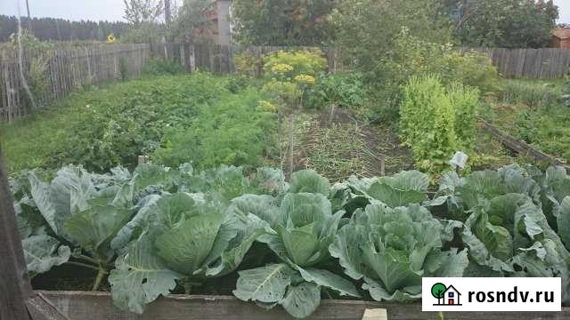 Участок ИЖС 17 сот. на продажу в Кедровом Красноярского края Кедровый - изображение 1