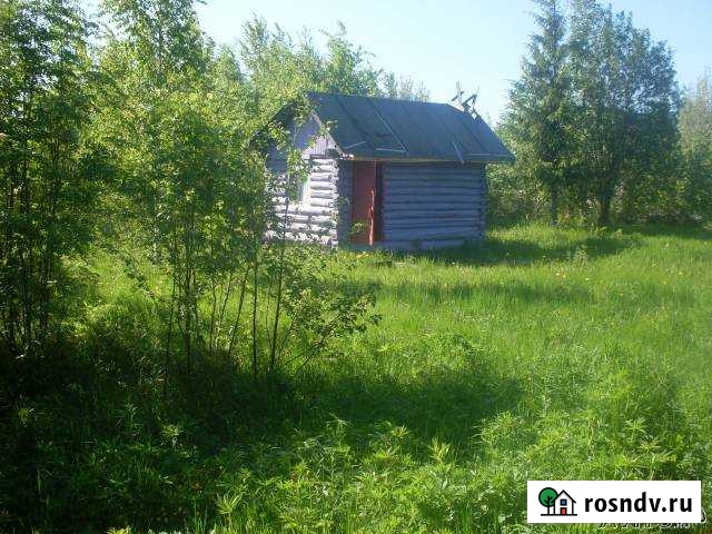 Участок СНТ, ДНП 6 сот. на продажу в Любане Любань - изображение 1