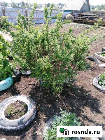 Дача 36 м² на участке 16 сот. на продажу в Краснокаменске Забайкальского края Краснокаменск - изображение 1