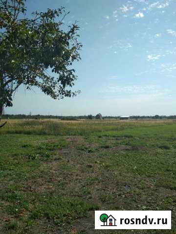 Участок СНТ, ДНП 8 сот. на продажу в Северской Северская - изображение 1