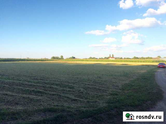 Участок ИЖС 25 сот. на продажу в Раздольной Раздольная - изображение 1