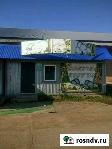 Оптовая база Бузулук - изображение 1