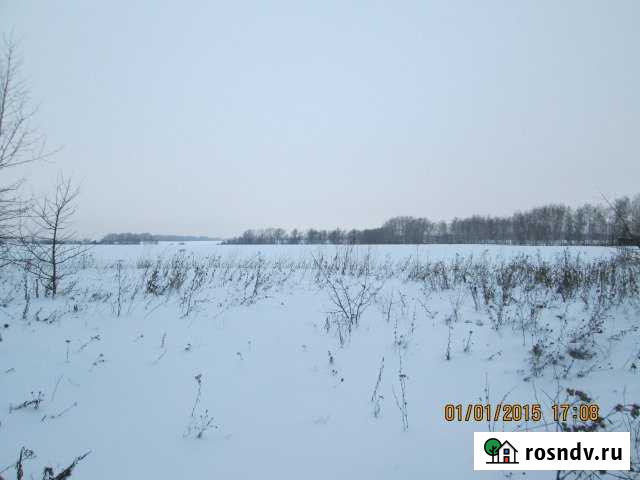 Участок СНТ, ДНП 370 сот. на продажу в Шацке Шацк - изображение 1