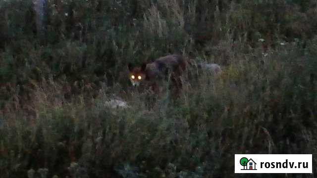 Участок ИЖС 15 сот. на продажу в Донском Липецкой области Донское - изображение 1