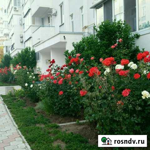 1-комнатная квартира, 50 м², 1/5 эт. в аренду посуточно в Феодосии Феодосия - изображение 1