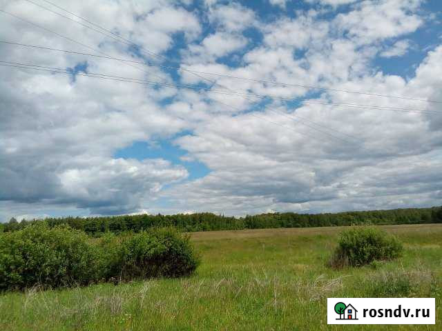 Участок СНТ, ДНП 100 сот. на продажу в Ясногорске Тульской области Ясногорск - изображение 1