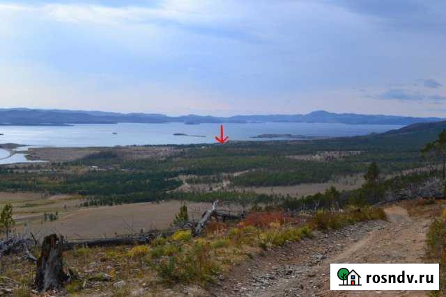 Участок СНТ, ДНП 150 сот. на продажу в Еланцах Еланцы - изображение 1