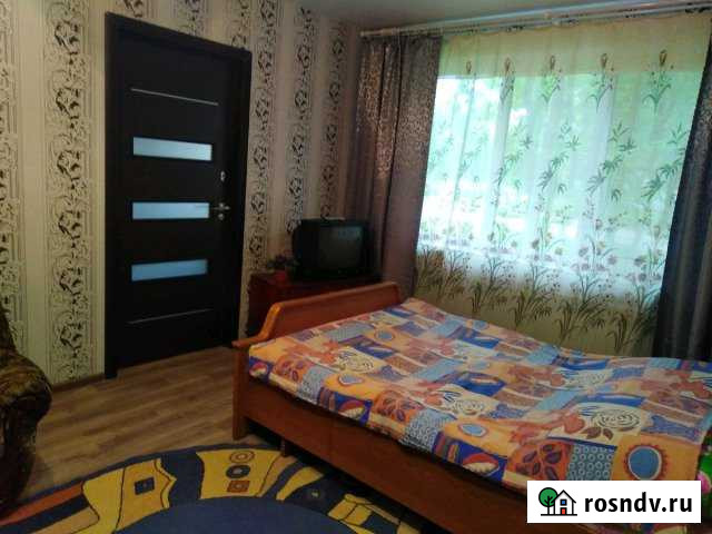 2-комнатная квартира, 46 м², 1/5 эт. в аренду посуточно в Дзержинске Дзержинск - изображение 1