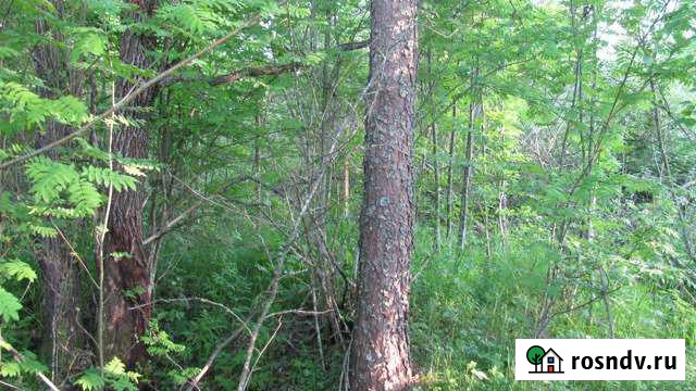 Участок ИЖС 10 сот. на продажу в Выборге Выборг - изображение 1