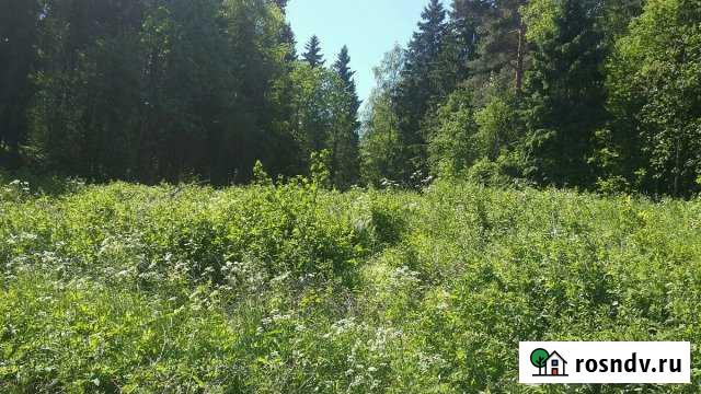 Участок СНТ, ДНП 15 сот. на продажу в Сортавале Сортавала - изображение 1