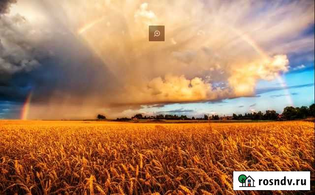 Участок СНТ, ДНП 5000 сот. в аренду в Красноперекопске Красноперекопск - изображение 1