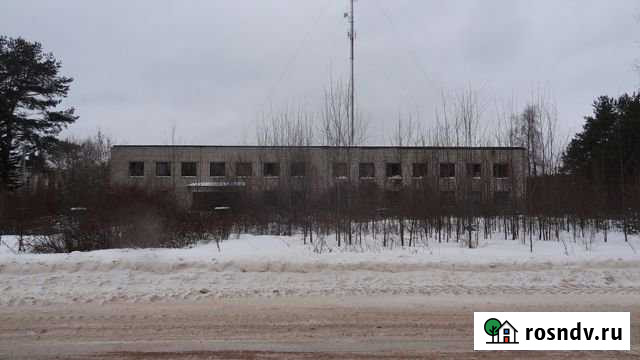 Торговое помещение, 300 кв.м. Тихвин - изображение 1