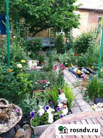 3-комнатная квартира, 45 м², 1/1 эт. в аренду посуточно в Ейске Ейск - изображение 1