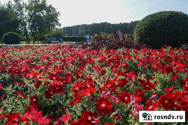 1-комнатная квартира, 39 м², 1/5 эт. на продажу в Зеленогорске Зеленогорск - изображение 1