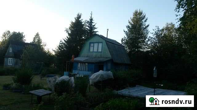 Дача 20 м² на участке 9 сот. на продажу в Ухте Ухта - изображение 1