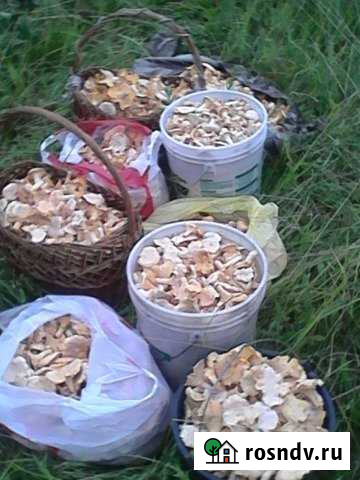 Участок ИЖС 11 сот. на продажу в Тарусе Таруса - изображение 1