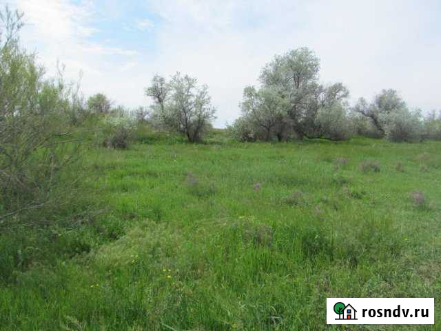 Участок СНТ, ДНП 350 сот. на продажу в Камызяке Камызяк - изображение 1