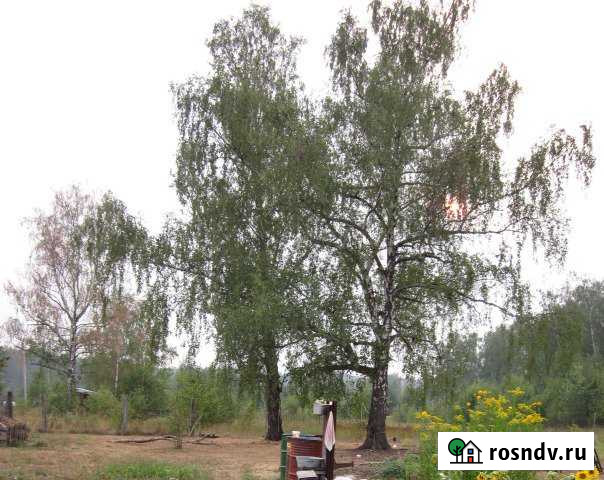 Участок СНТ, ДНП 6 сот. на продажу в Озёрах Озёры - изображение 1