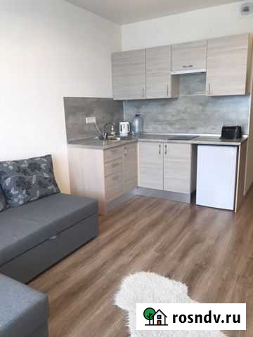 Квартира-студия, 30 м², 8/12 эт. в аренду на длительный срок в Янино-1 Янино-1 - изображение 1