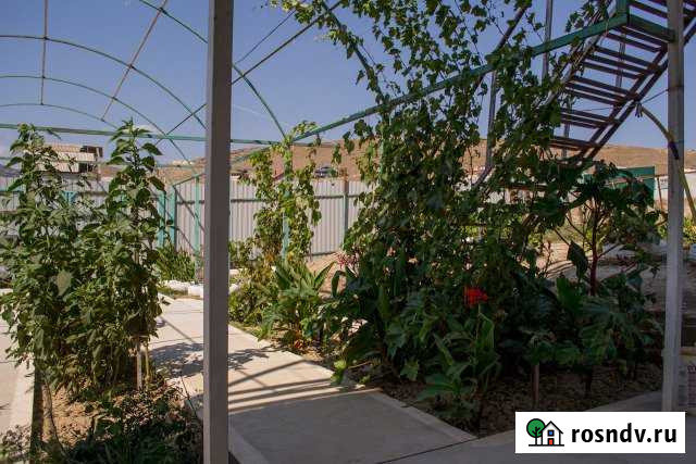 Коттедж 35 м² на участке 6 сот. в аренду посуточно в Судаке Судак - изображение 1